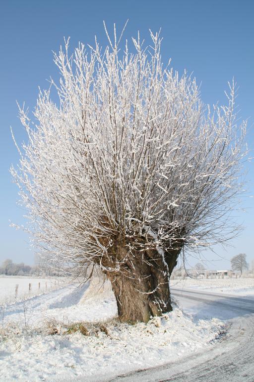 Gastenverblijf Eenink Zelhem Zewnętrze zdjęcie